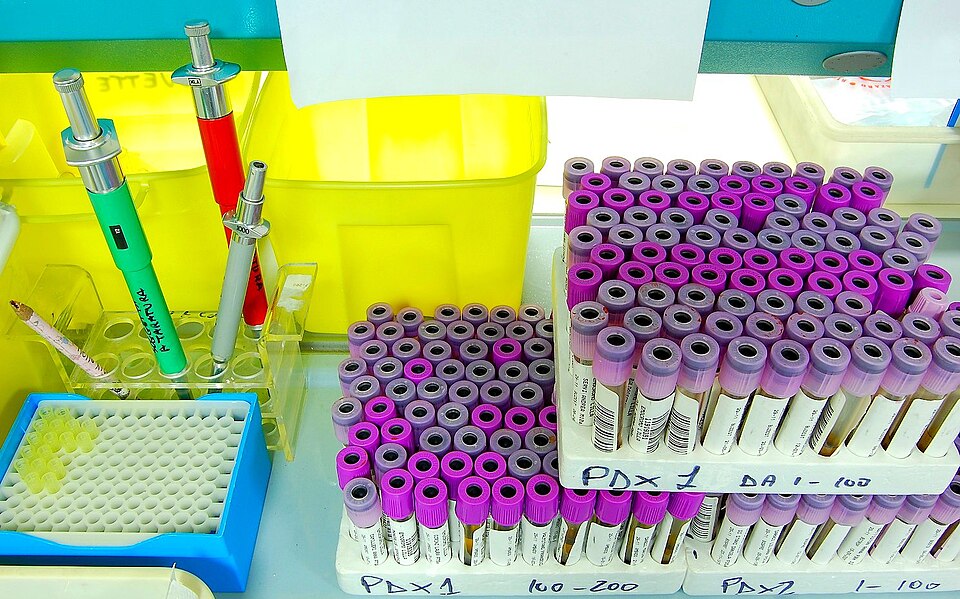 分子生物学实验室的常规操作。